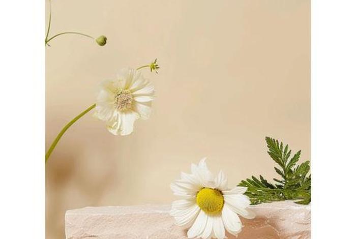 电商产品背景图片素材 电商产品背景图片素材高清无水印 电商产品背景图片素材 电商产品背景图片素材高清无水印