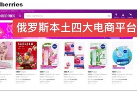 俄罗斯电商平台wb入驻条件、俄罗斯电商平台ozon入驻条件