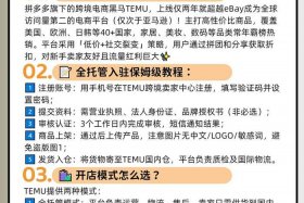 temu跨境电商入驻流程详解（跨境电商入驻要求和流程）