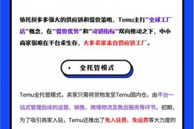 temu电商 - temu电商平台