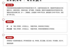 电商采购招聘（电商采购招聘要求）