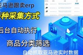 亚马逊跨境电商买erp、亚马逊跨境电商erp软件要多少钱