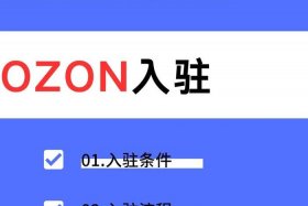 俄罗斯电商平台ozon官网下载 俄罗斯电商平台ozon入驻条件