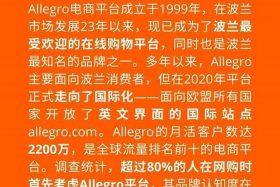 波兰电商平台排名（波兰电商平台排名第一）