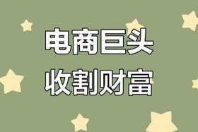电商巨头垄断现象 - 电商巨头垄断现象有哪些