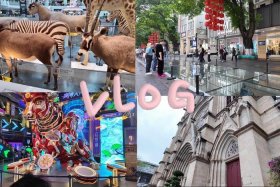 广州电商摄影圈 广州电商摄影圈有哪些