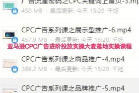 大麦电商课程（大麦电商说）