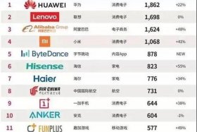 中国电商企业排名2018（中国电商企业排名100强）