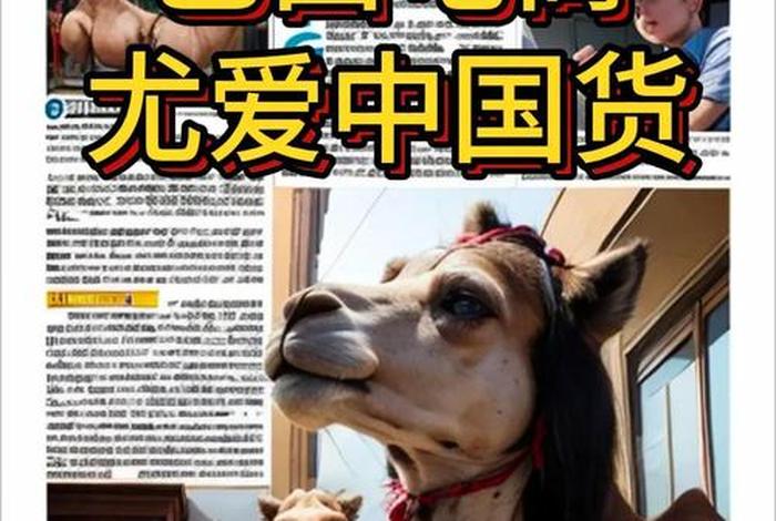 巴西有什么网购平台 - 巴西有什么网购平台可以买 巴西有什么网购平台 - 巴西有什么网购平台可以买