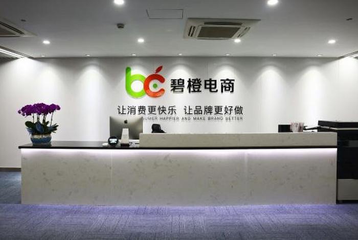 碧橙电商选品，碧橙电商ipo