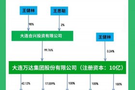 万达电商公司；万达电商公司是国企吗