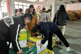 尚纬电商骗局揭秘 - 尚纬电商骗局揭秘图片