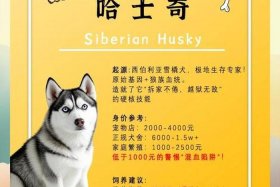 哈士奇电商插件使用教程、哈士奇电商插件使用教程下载