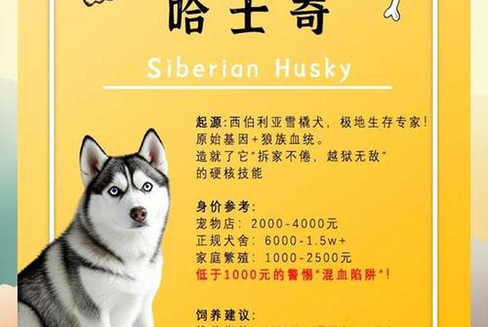 哈士奇电商插件使用教程、哈士奇电商插件使用教程下载 哈士奇电商插件使用教程、哈士奇电商插件使用教程下载