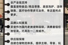 宠物电商公司的企业文化和价值观 - 宠物电商公司的企业文化和价值观有哪些