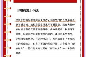 农村电商发展的现状,问题与对策、农村电商发展的现状,问题与对策研究