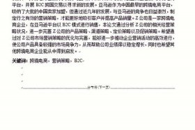亚马逊中国跨境电商的双引擎战略、亚马逊中国的跨境电商双引擎战略是什么