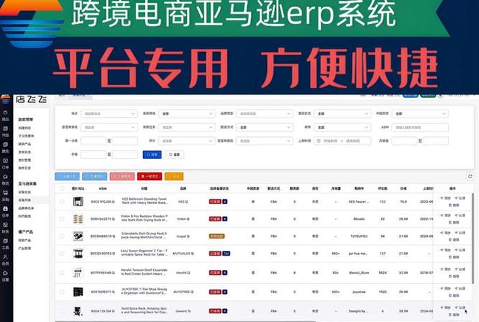 电商系统，电商erp软件前十名