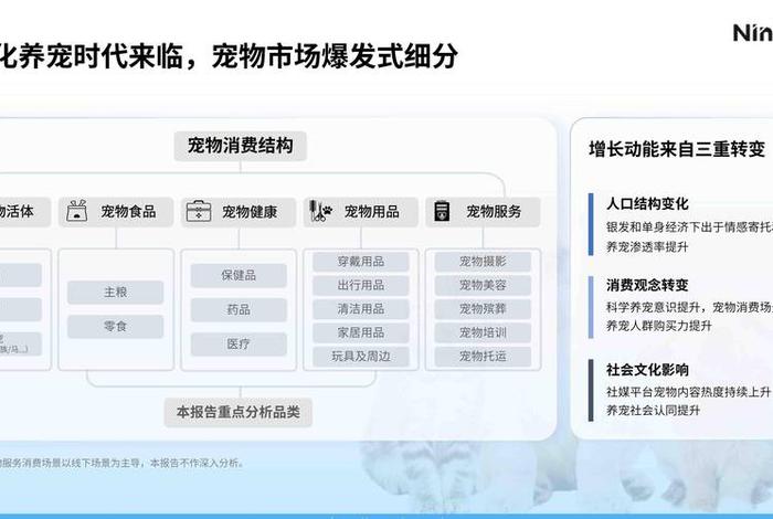 电商前景预测 电商前景预测怎么写