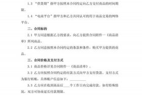 电商代发供应链合作 - 电商代发供应链合作协议