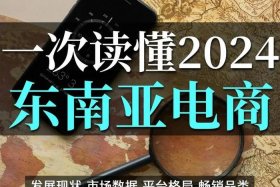 东南亚电商平台叫什么；东南亚电商平台叫什么名字