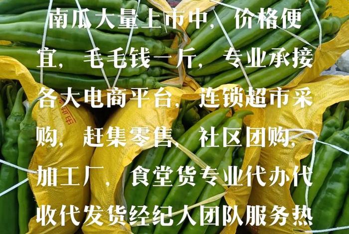 蔬菜电商合作平台、蔬菜电商合作平台有哪些 蔬菜电商合作平台、蔬菜电商合作平台有哪些