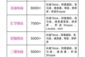 哪里有比较好的培训跨境电商机构、哪个培训机构跨境电商比较好