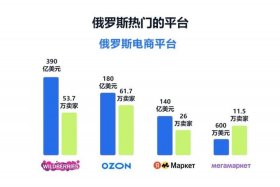 俄罗斯电商平台热销款 俄罗斯销售额最大的电商平台