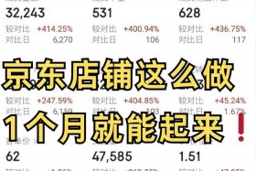 京东电商运营基本知识 京东电商运营基本知识有哪些
