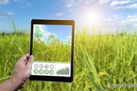 电商农业怎么做；电商农业怎么做才能赚钱