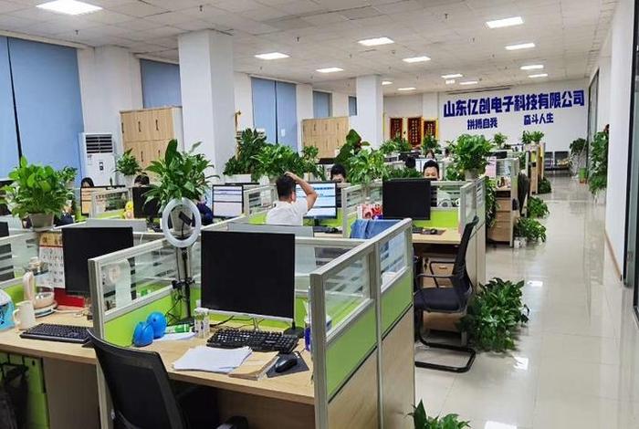 电创电子有限公司做什么的 电创电子有限公司做什么的啊