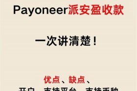 payoneer亚马逊收款；payoneer亚马逊收款未到