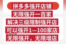 拼多多电商加盟 - 拼多多电商加盟招商合作项目