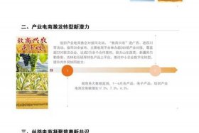 电商平台是什么时候发展起来的、电商平台是什么时候发展起来的呢