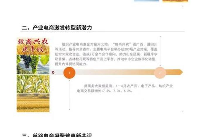 电商平台是什么时候发展起来的、电商平台是什么时候发展起来的呢