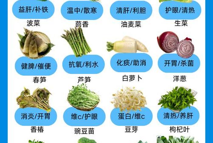 蔬菜电商货和市场货区别、蔬菜电商货和市场货区别是什么 蔬菜电商货和市场货区别、蔬菜电商货和市场货区别是什么
