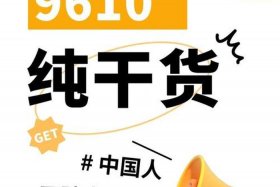 出口电商；出口电商是什么意思