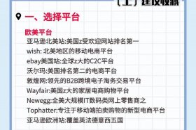 跨境电商新手入门必读（跨境电商新手入门视频教程在线）