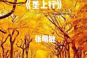 垄上点军 - 歌曲垄上行