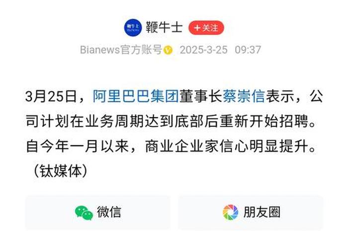 阿里任命；阿里任命为豪猪ceo