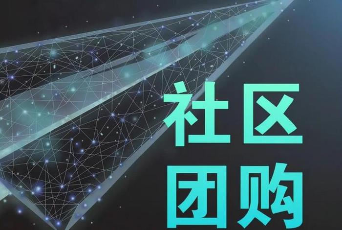 电商跟团；团购社交电商