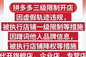 拼多多新电商开创者官网、拼多多新电商开创者官网下载app