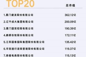 上市的电商企业有哪些 - 上市的电商企业有哪些公司