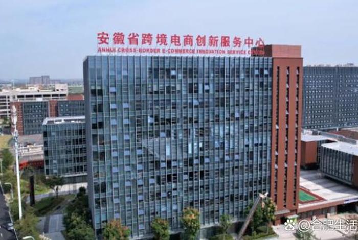 合肥电商平台有哪些 合肥电商平台有哪些品牌 合肥电商平台有哪些 合肥电商平台有哪些品牌