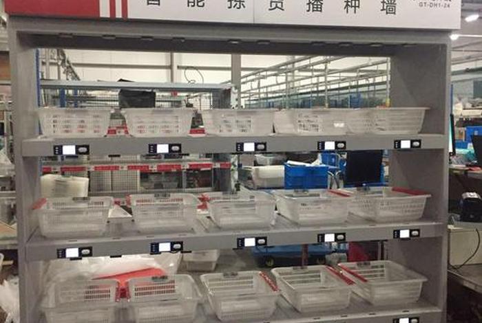 电商播种墙分拣（电商播种墙分拣方案）