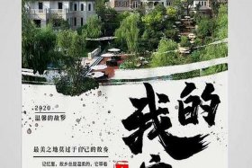 家乡特产电商营销方案（家乡特产电商营销方案范文）