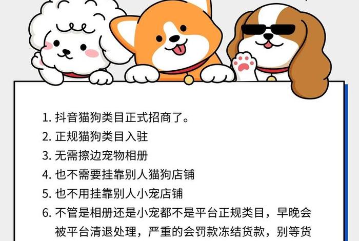 宠物用品电商直播 宠物用品电商直播怎么做 宠物用品电商直播 宠物用品电商直播怎么做