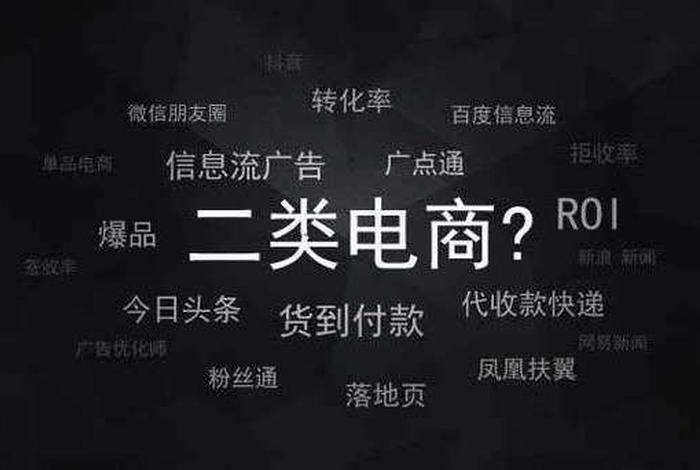 二类电商有哪些平台（二类电商有哪些平台推广）