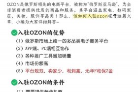 俄罗斯电商平台ozon值得做吗 - 俄罗斯电商平台ozon中文