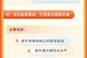 上海跨境电商行动（上海跨境电商行动方案）